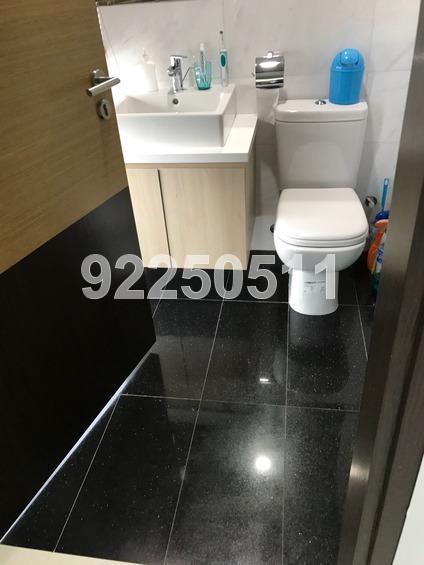 Harbour Suites (D4), Apartment #160653832
